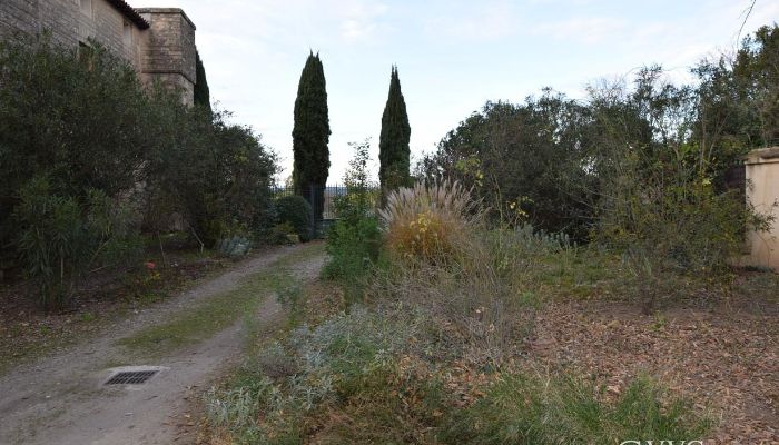 Medieval Castle Montpellier 3