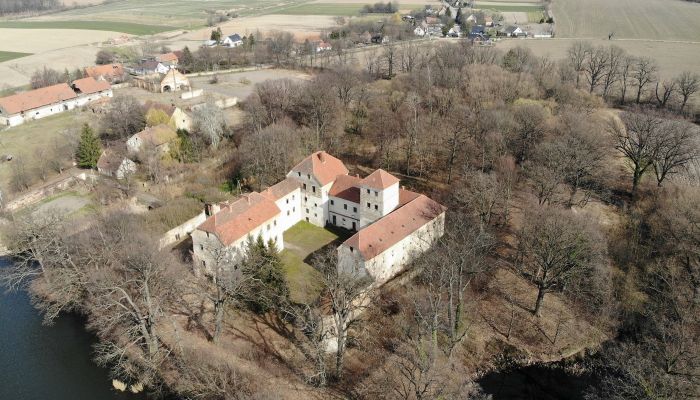 Medieval Castle for sale Witostowice, Lower Silesian Voivodeship,  Poland