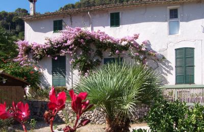 Country House for sale Sóller, Cami de Cas Carreter 5, Balearic Islands, Photo 10/12