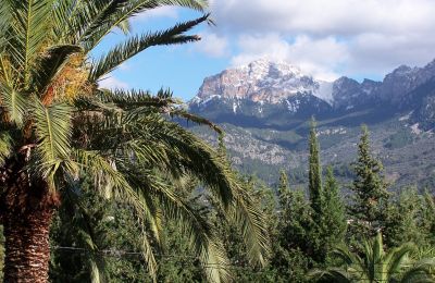 Country House for sale Sóller, Cami de Cas Carreter 5, Balearic Islands, Photo 7/12