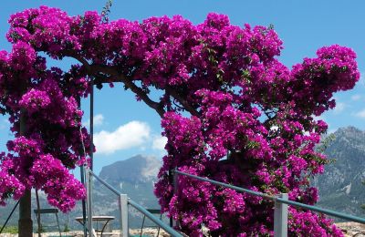 Country House for sale Sóller, Cami de Cas Carreter 5, Balearic Islands, Photo 8/12