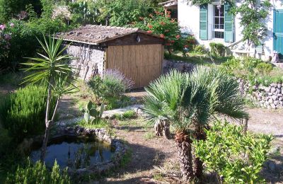 Country House for sale Sóller, Cami de Cas Carreter 5, Balearic Islands, Photo 9/12