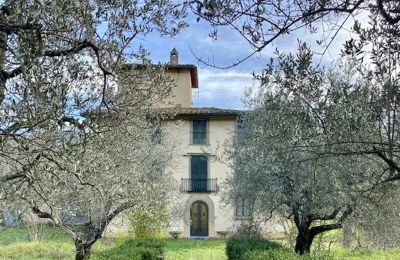 Historic Villa for sale Firenze, Tuscany, Exterior View