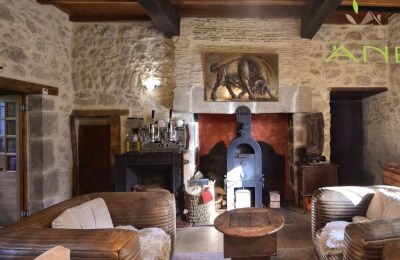 Manor House for sale Busserolles, New Aquitaine, Living Room