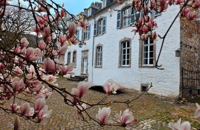 Castle for sale Astenet, Wallonia, Photo 11/22