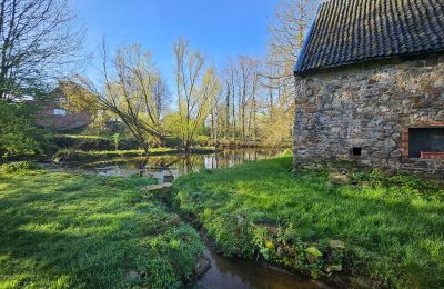 Castle for sale Astenet, Wallonia, Photo 15/22