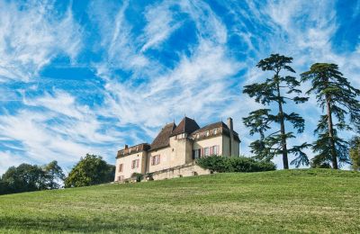 Castle for sale Monségur, New Aquitaine, Photo 16/22