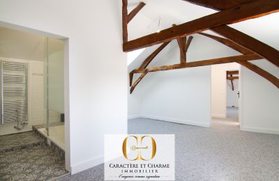 Historic property for sale Sarlat-la-Canéda, New Aquitaine, Photo 14/20