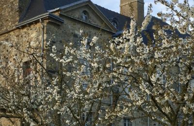 Castle for sale Lamballe, Le Tertre Rogon, Brittany, Photo 22/25