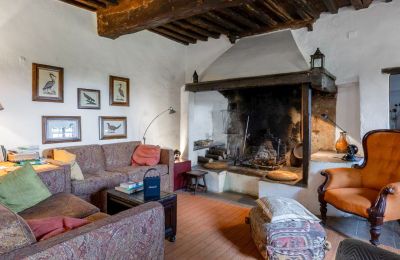 Country House for sale Castellina in Chianti, Tuscany, Fireplace