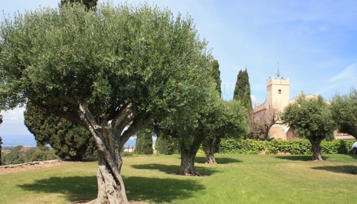 Manor House Vila-rodona, Catalonia