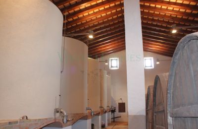 Manor House for sale Vila-rodona, Catalonia, Photo 16/37