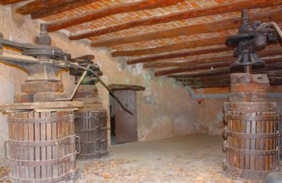 Manor House for sale Vila-rodona, Catalonia, Photo 17/37