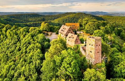 Medieval Castle 67330 Dossenheim-sur-Zinsel, Grand-Est