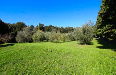 Country House for sale Montecatini Val di Cecina, Tuscany, Property