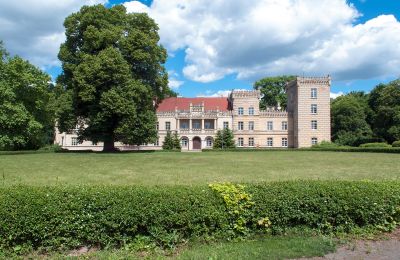 Castle for sale Gościeszyn, Pałac w Gościeszynie, Greater Poland Voivodeship, Pałac w Gościeszynie