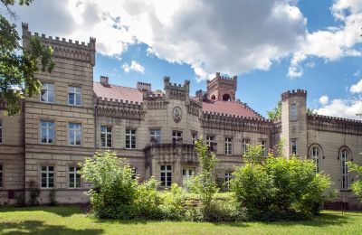 Castle for sale Gościeszyn, Pałac w Gościeszynie, Greater Poland Voivodeship, Back view