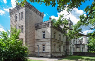 Castle for sale Gościeszyn, Pałac w Gościeszynie, Greater Poland Voivodeship, Side view