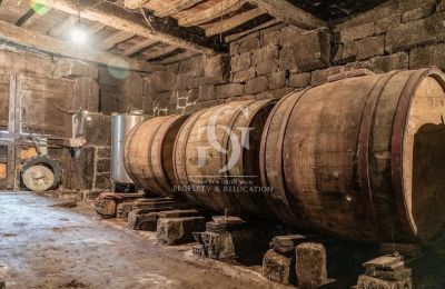 Manor House for sale Ourense, Galicia, Wine cellar