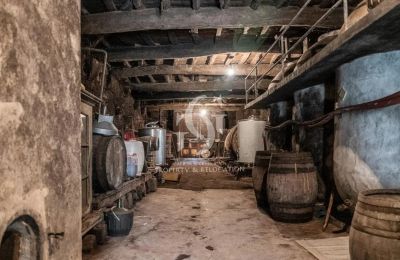 Manor House for sale Ourense, Galicia, Wine cellar