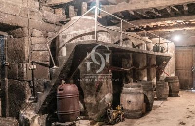 Manor House for sale Ourense, Galicia, Wine cellar