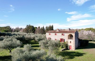 Character Properties, Exceptional property on 6 acres in Uzès