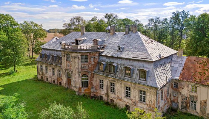 Castle for sale Minkowskie, Opole Voivodeship,  Poland