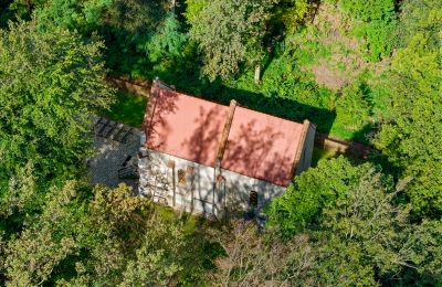 Castle for sale Minkowskie, Minkowskie 69, Opole Voivodeship, Photo 11/43