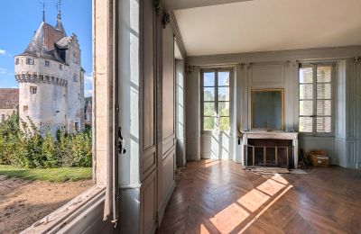 Castle for sale Chartres, Centre-Loire Valley, Photo 7/10