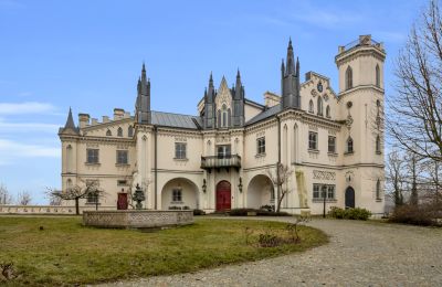 Castle for sale Patrykozy, Masovian Voivodeship