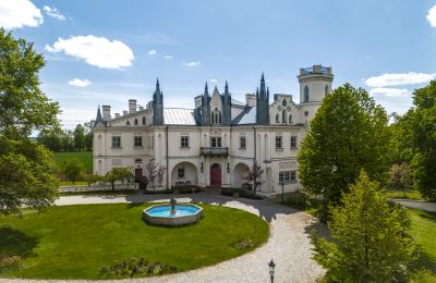 Historic estates, Unique neogothic country mansion in Poland