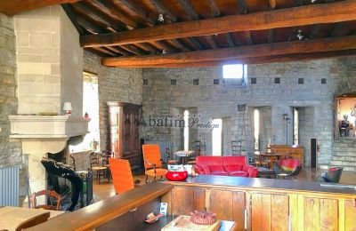 Historic Villa for sale Sauveterre-de-Béarn, New Aquitaine, Photo 5/20