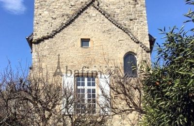 Historic Villa for sale Sauveterre-de-Béarn, New Aquitaine, Photo 3/20