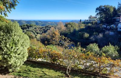 Country House for sale Conna, Liguria, Photo 7/18