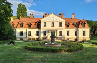 Manor House for sale Dawidy, Dwór w Dawidach, Warmian-Masurian Voivodeship, Neighborhood: Kadyny