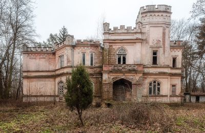 Castle for sale Cisie-Zagrudzie, Masovian Voivodeship,, Photo 1/4