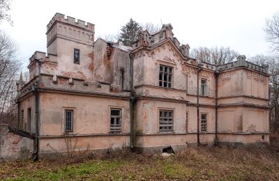 Castle for sale Cisie-Zagrudzie, Masovian Voivodeship, Photo 3/4