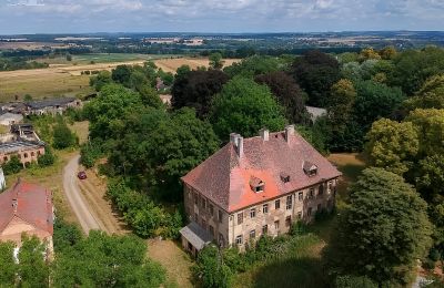 Castle for sale Kostrzyna, Lower Silesian Voivodeship, Photo 1/16