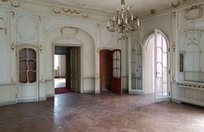 Castle for sale Lubinicko, Lubinek, Lubusz Voivodeship, Ballroom