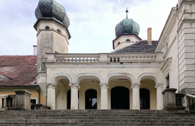 Castle for sale Lubinicko, Lubinek, Lubusz Voivodeship, Entrance