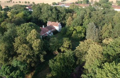 Manor House for sale Oporowo, Dwór w Oporowie 1, Greater Poland Voivodeship, Park