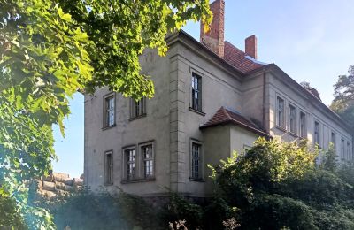 Manor House for sale Osieczna, Greater Poland Voivodeship:  Side view