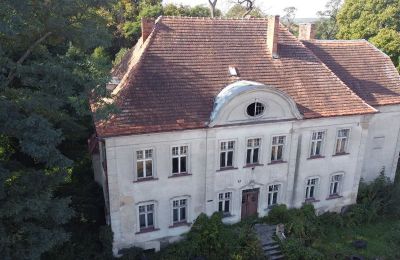Manor House for sale Osieczna, Greater Poland Voivodeship:  Drone