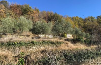 Character home for sale Erli, Liguria, Photo 26/31