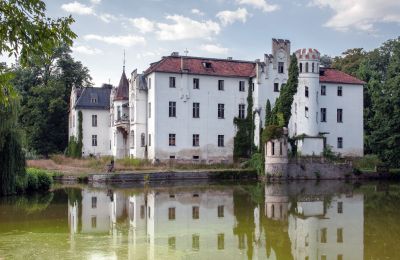 Slot købe Dobrocin, Pałac w Dobrocinie, województwo dolnośląskie, Sidevisning