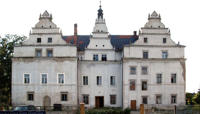 Castle for sale Wilków Wielki, Lower Silesian Voivodeship,  Poland