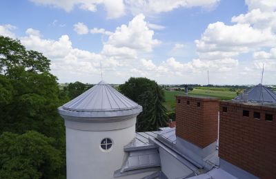 Castle for sale Malina, Pałac Malina, Łódź Voivodeship, Roof