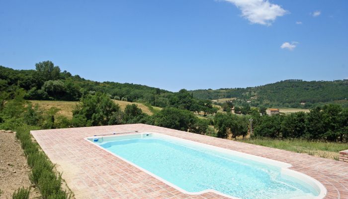 Country House Montescudaio 5