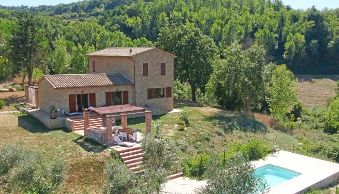 Country House Montescudaio 4