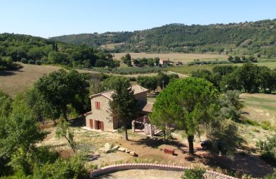 Country House for sale Montescudaio, Tuscany, RIF 2185 Blick auf Anwesen